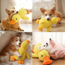 Brinquedo Pato de Pelúcia com Apito/Sonoro (Squeaker)
